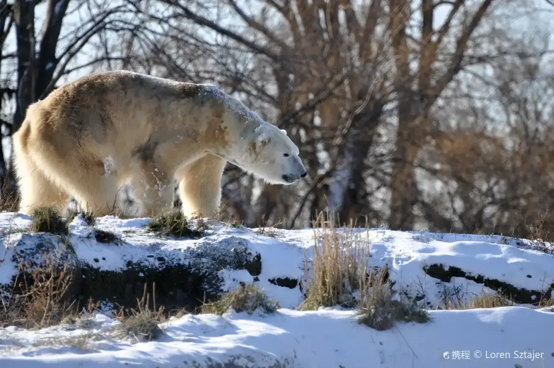 Hotel in zona zoo di Détroit