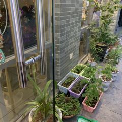 Luomazhilian (guanyaguangchang) User Photo