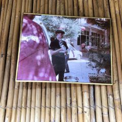 进山草堂茅草屋 User Photo