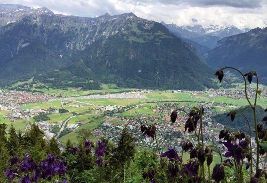 Harder Kulm
