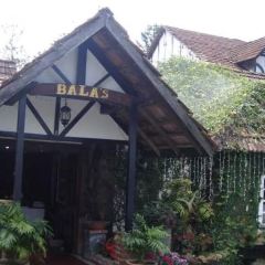 Jim Thompson's Tea Room at Bala's User Photo