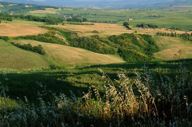 VAL D’ORCIA