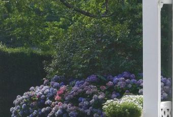 Jim Thompson's Tea Room at Bala's User Photo