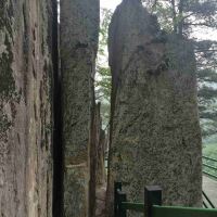 評論圖片 5