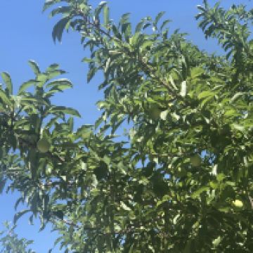 評論圖片 3