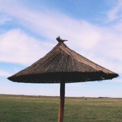 Zhangbeibashangcaoyuanshijiadayuan User Photo