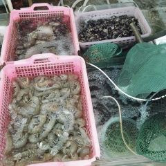 A lai seafood snack 여행 사진