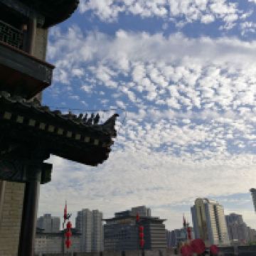 評論圖片 9
