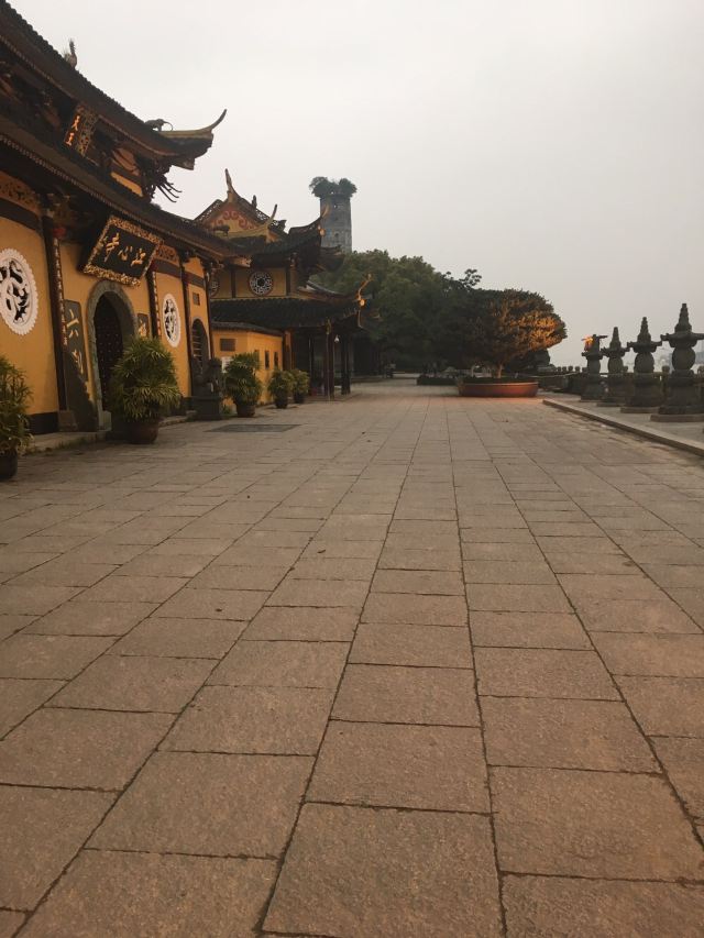 장신위섬
