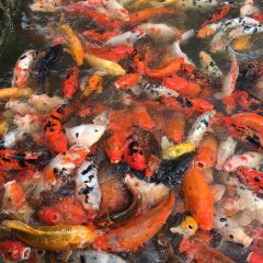 WENFENG GARDEN HOTEL User Photo