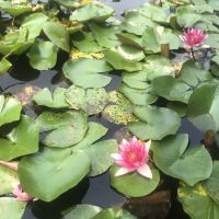 評論圖片 4