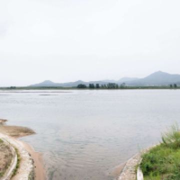 評論圖片 4