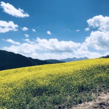 評論圖片 9