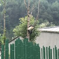 評論圖片 3