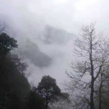 評論圖片 7