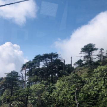 評論圖片 4