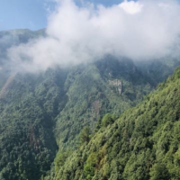 評論圖片 5