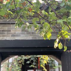 朵朵开素食餐厅(后宰门街店) User Photo