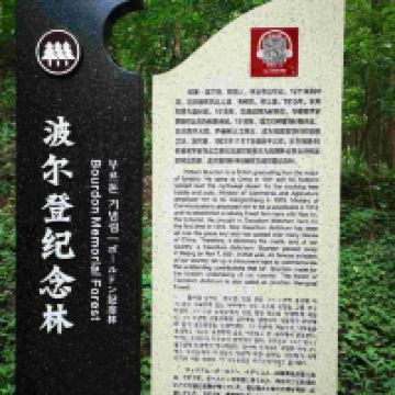 評論圖片 1