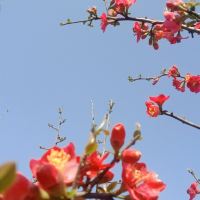 評論圖片 2