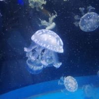 評論圖片 6
