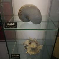 評論圖片 9
