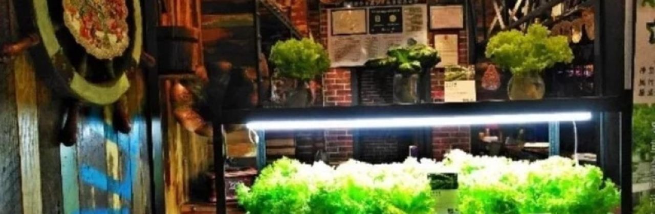 九庄火锅(江山店)