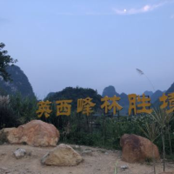 評論圖片 7