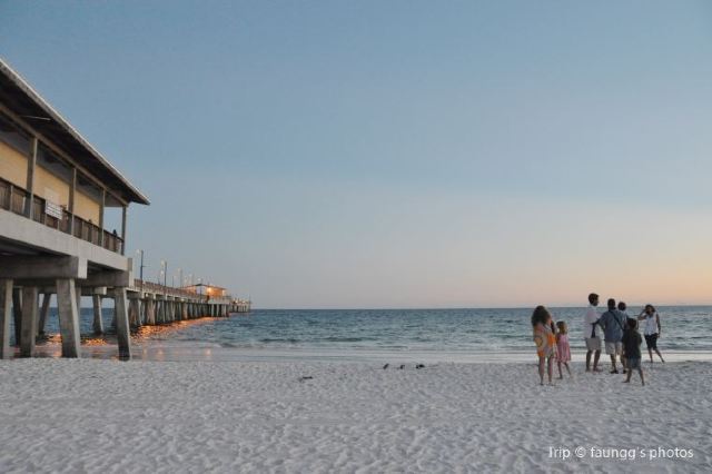 10 Awesome Domestic Coast Oct 2020