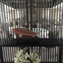 지미차이 여행 사진