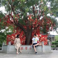評論圖片 9