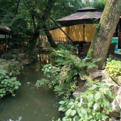 Xingfuwangyueloulao Noodle House User Photo