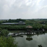 評論圖片 3