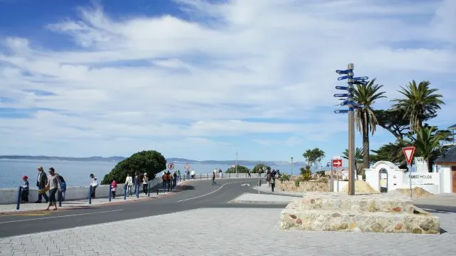 全球觀鯨指南 l 去哪裡邂逅「海洋巨人」？看這篇就對了！