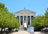 10 Tips to Help You Plan a Fantastic Trip to Shedd Aquarium, Chicago