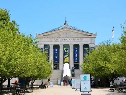 10 Tips to Help You Plan a Fantastic Trip to Shedd Aquarium, Chicago