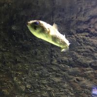 評論圖片 4