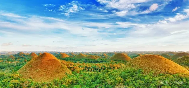 Aquatic Adventures: A Submarine Safari in the Philippines