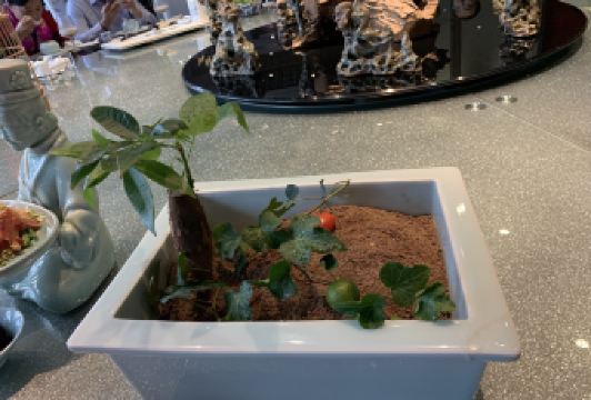 ZI FI CLUB User Photo