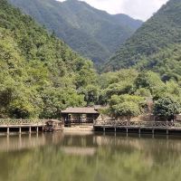 評論圖片 2