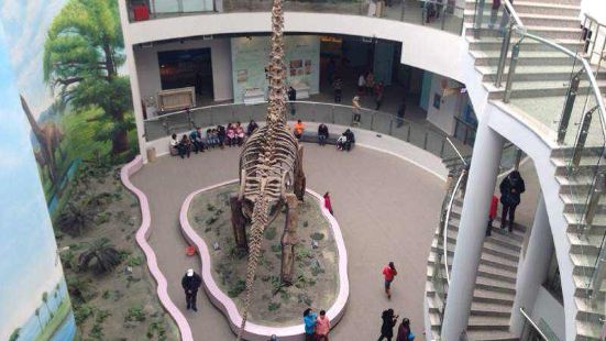 辽宁古生物博物馆位于沈阳市沈阳师范大学校园内，交通非常方便，