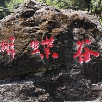 評論圖片 2