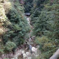 評論圖片 6