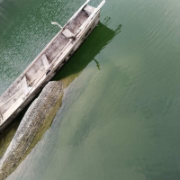 評論圖片 9