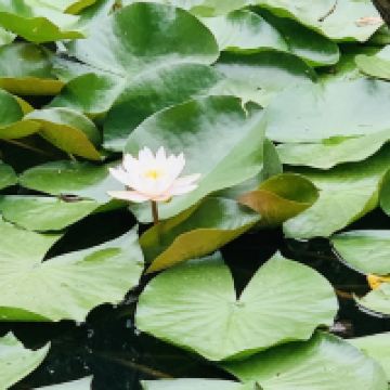 評論圖片 3