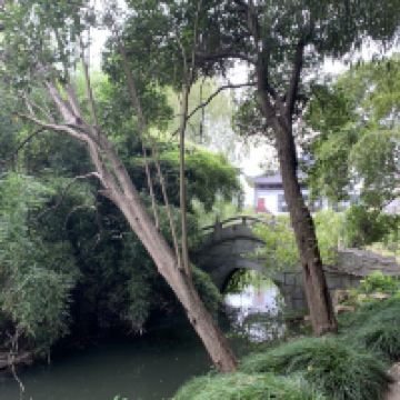 評論圖片 7