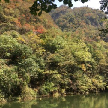 評論圖片 6