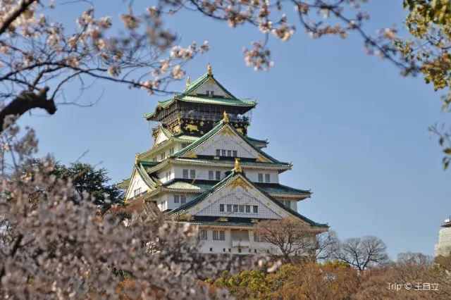 Tokyo to Osaka: How to Travel Cheap and Fast?