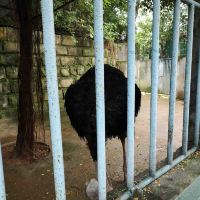 評論圖片 9