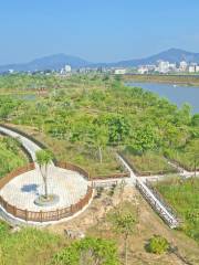 Парк водно-болотных угодий на мосту Циншань Хэнцзян